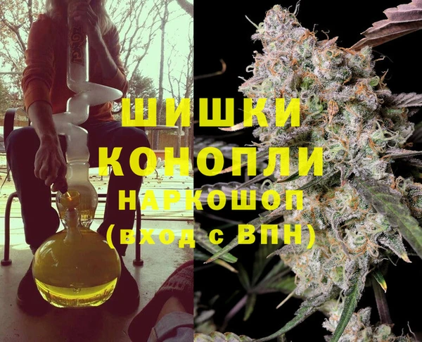 гашик Зеленокумск
