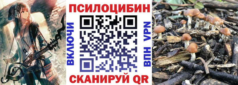 Купить закладки  Кондрово  Галлюциногенные грибы GOLDEN TEACHER 