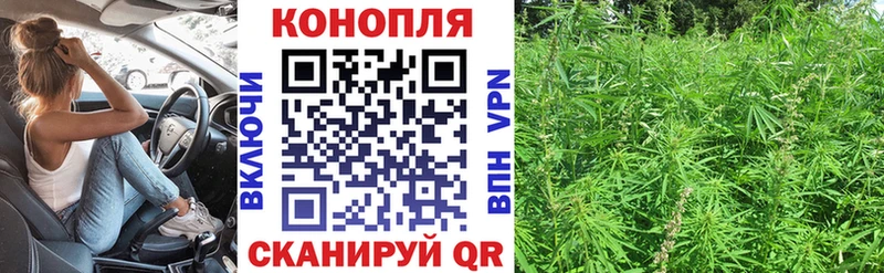 МАРИХУАНА гибрид  Купить закладки  Кондрово 